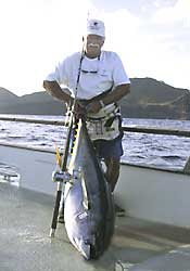 saltwater fishing rod blanks, saltwater fishing rod blanks Suppliers and  Manufacturers at