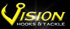 Vision hooks logo