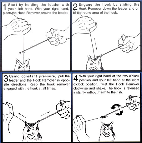 How To Instructions. how-to instructions for